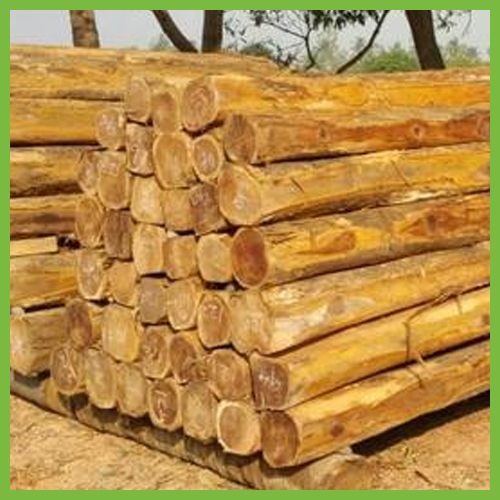 Ecuador Teak Wood Suppliers Teak Wood Suppliers India Teak Wood ecuador-teak-wood-suppliers-teak-wood-suppliers-india-teak-wood